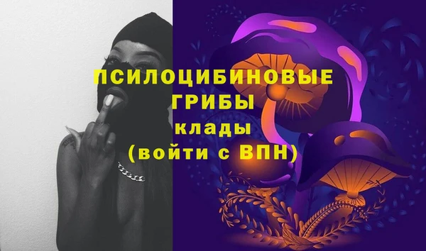 твердый Козловка