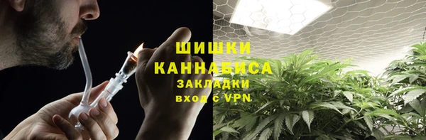 индика Костерёво