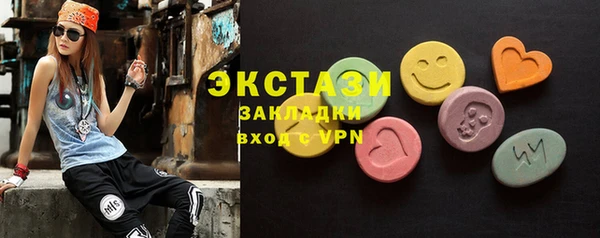 индика Костерёво