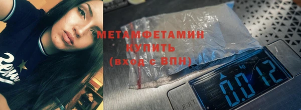 индика Костерёво