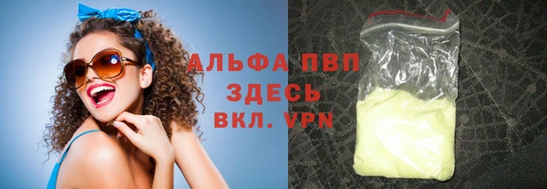 стаф Коряжма