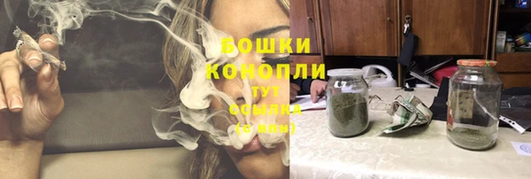ПСИЛОЦИБИНОВЫЕ ГРИБЫ Кодинск