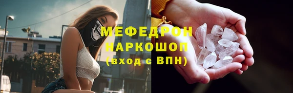 индика Костерёво