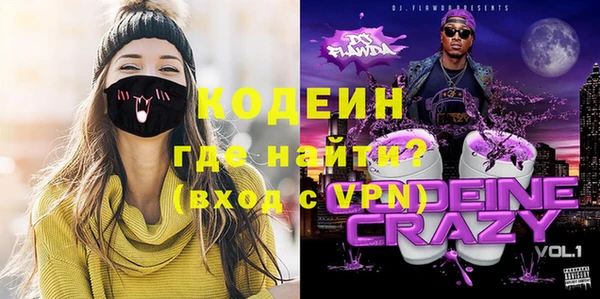индика Костерёво