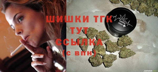 стаф Коряжма