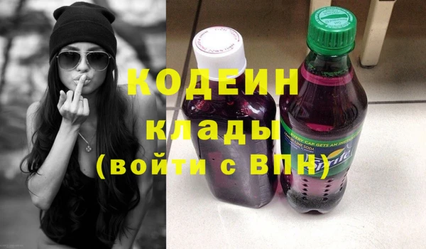 индика Костерёво
