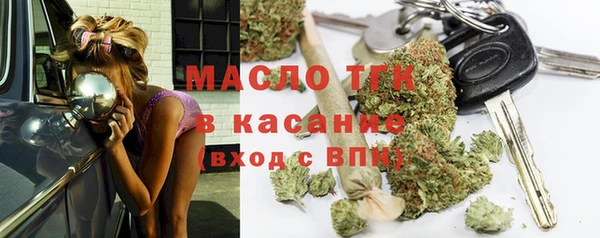 индика Кинешма