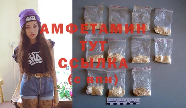 индика Костерёво
