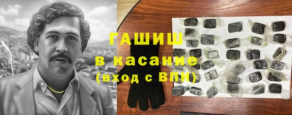 индика Костерёво