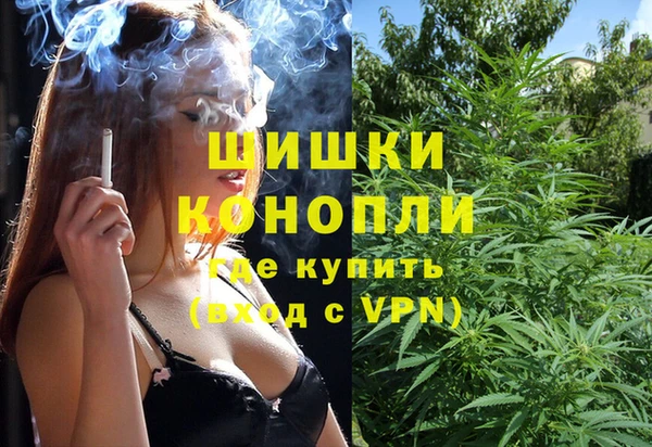 стаф Коряжма