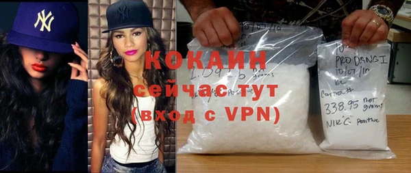 индика Костерёво