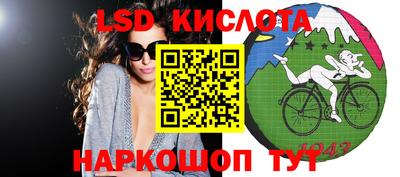 гидра Гатчина