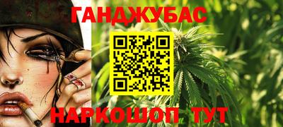 гидра Гатчина
