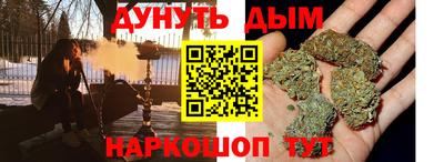 гидра Гатчина
