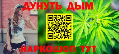 гидра Гатчина