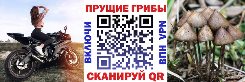 Галлюциногенные грибы Magic Shrooms  mega маркетплейс  Мценск  наркотики 