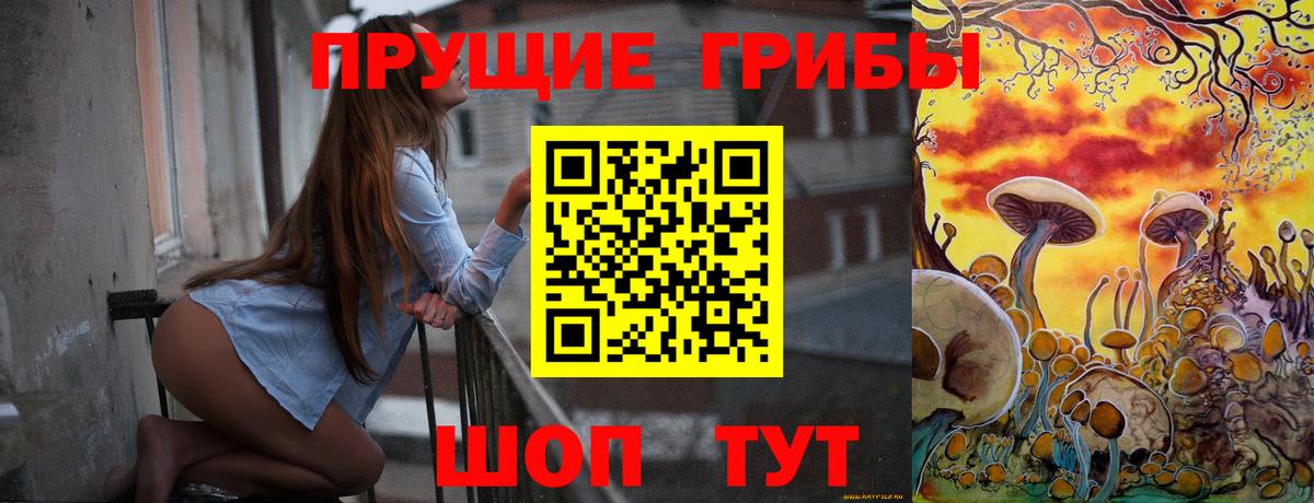 Мценск  Псилоцибиновые грибы Psilocybine cubensis  Псилоцибиновые грибы мицелий  Вход с VPN 