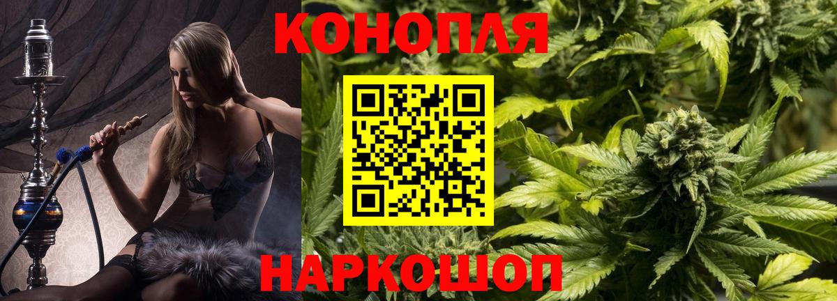 Конопля планчик Мценск